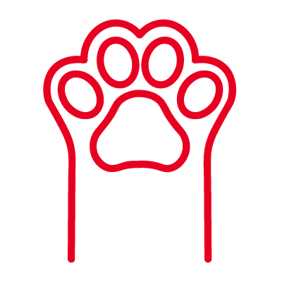 chat_couleur